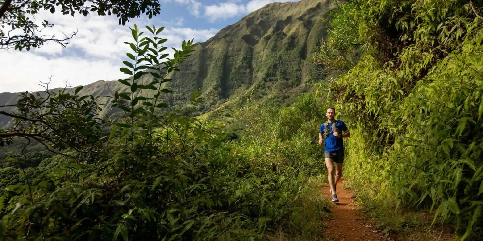 Men's Shorts - Patagonia Bend