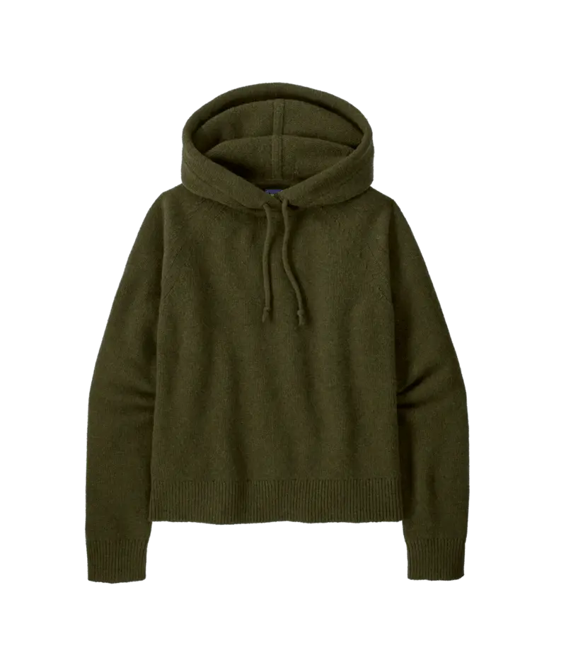 Patagonia Recycled Wool Blend Hooded Pullover Sweater Women s Pine Needle Green M