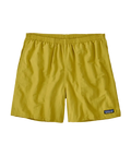 Men's Baggies Shorts - 5 in.