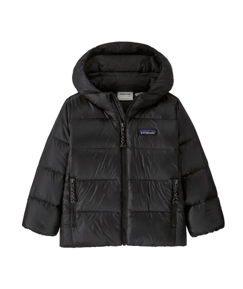 Baby Hi - Loft Down Sweater Hoody in Black | Patagonia Bend