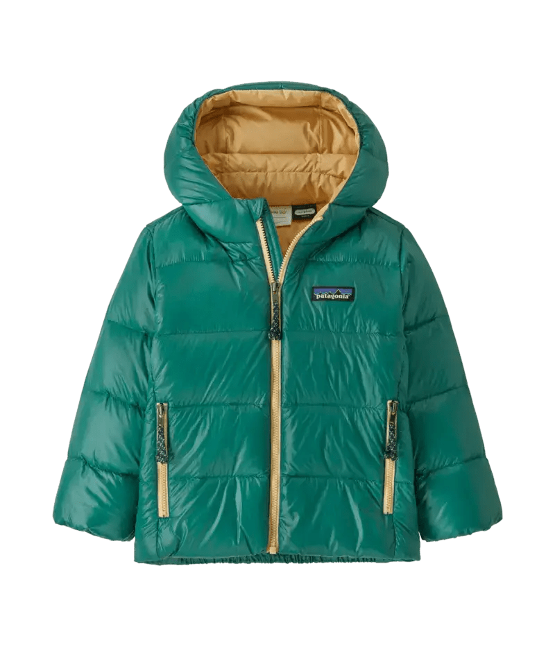 Baby Hi - Loft Down Sweater Hoody in Conifer Green | Patagonia Bend