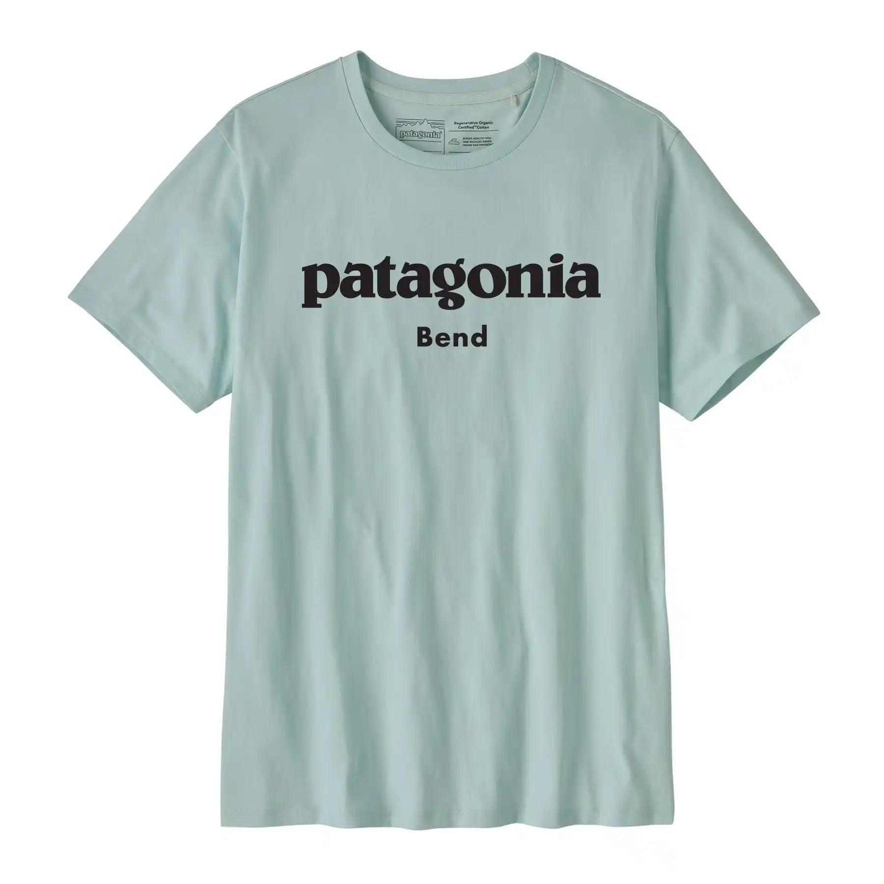 Daily Tee - Patagonia Bend in Wispy Green | Patagonia Bend