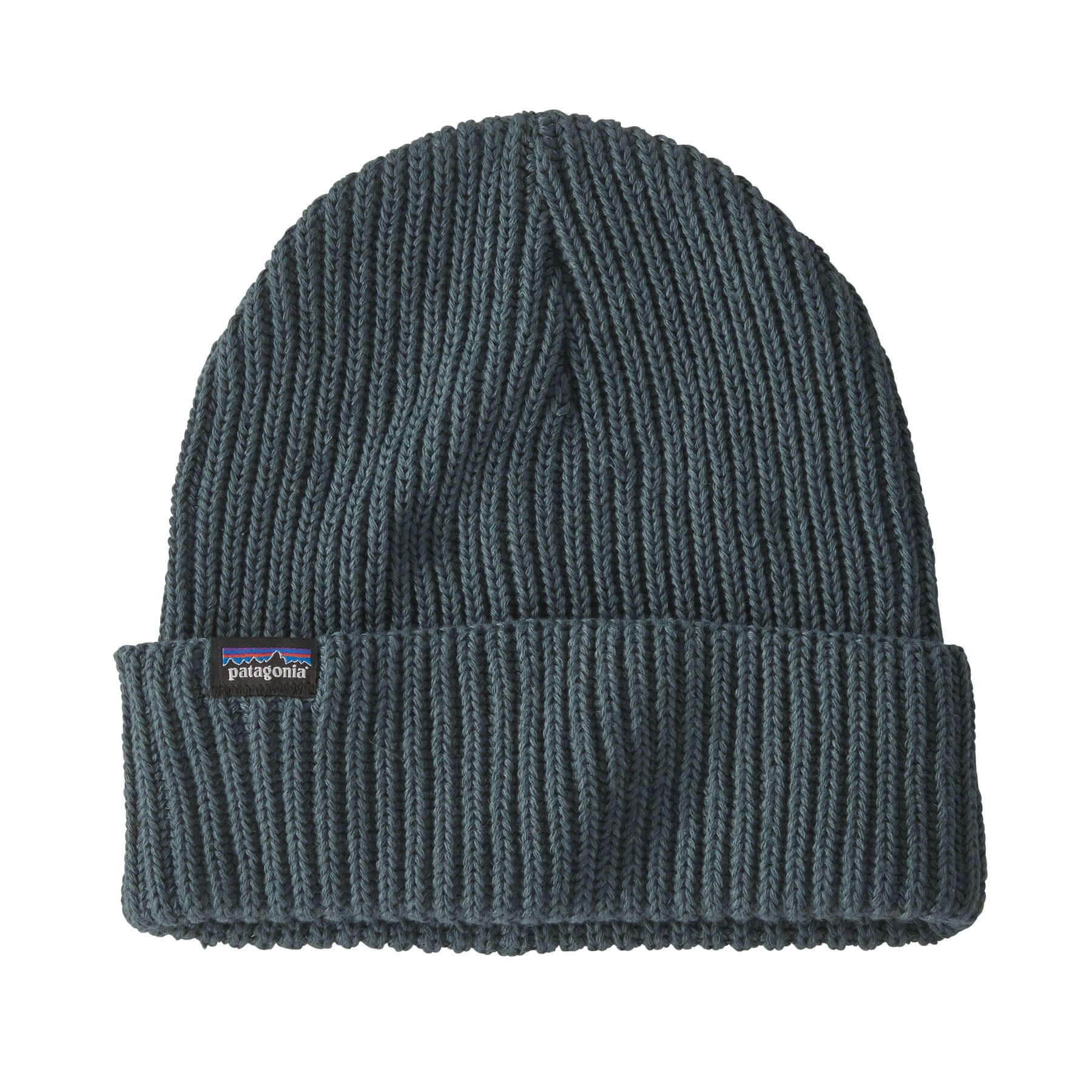 Fishermans Rolled Beanie in NOUVEAU GREEN | Patagonia Bend