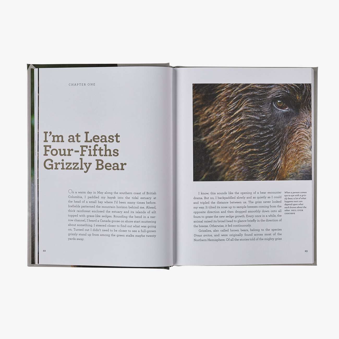 Four Fifths a Grizzly: A New Perspective on Nature that Just Might Save Us All (By Douglas Chadwick) in One Size | Patagonia Bend