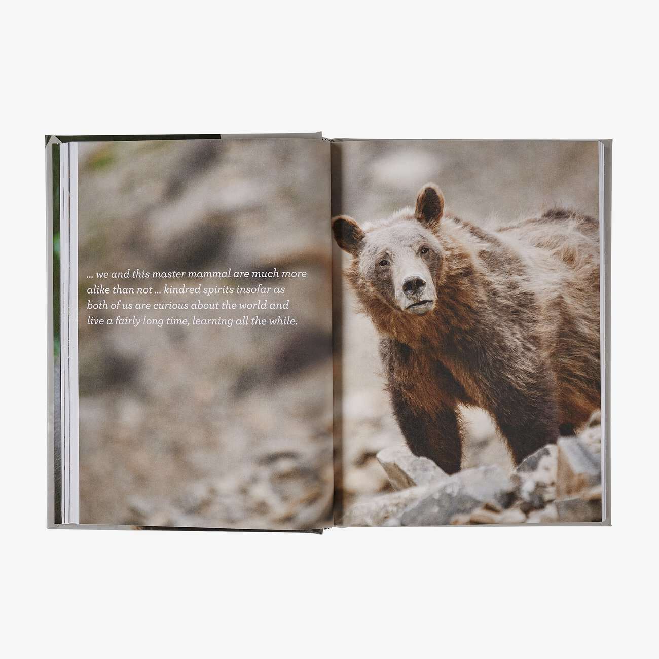 Four Fifths a Grizzly: A New Perspective on Nature that Just Might Save Us All (By Douglas Chadwick) in One Size | Patagonia Bend