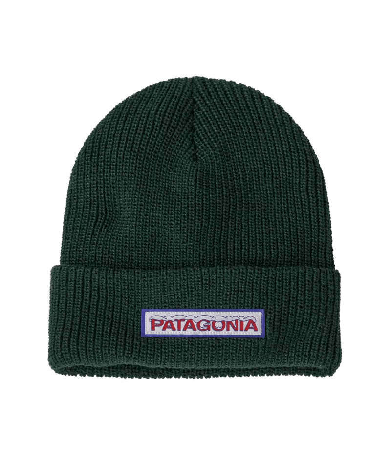 Kids' Logo Beanie in Chill: Conifer Green | Patagonia Bend