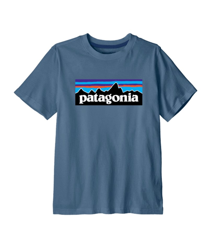 Kids' P - 6 Logo T - Shirt in Utility Blue | Patagonia Bend