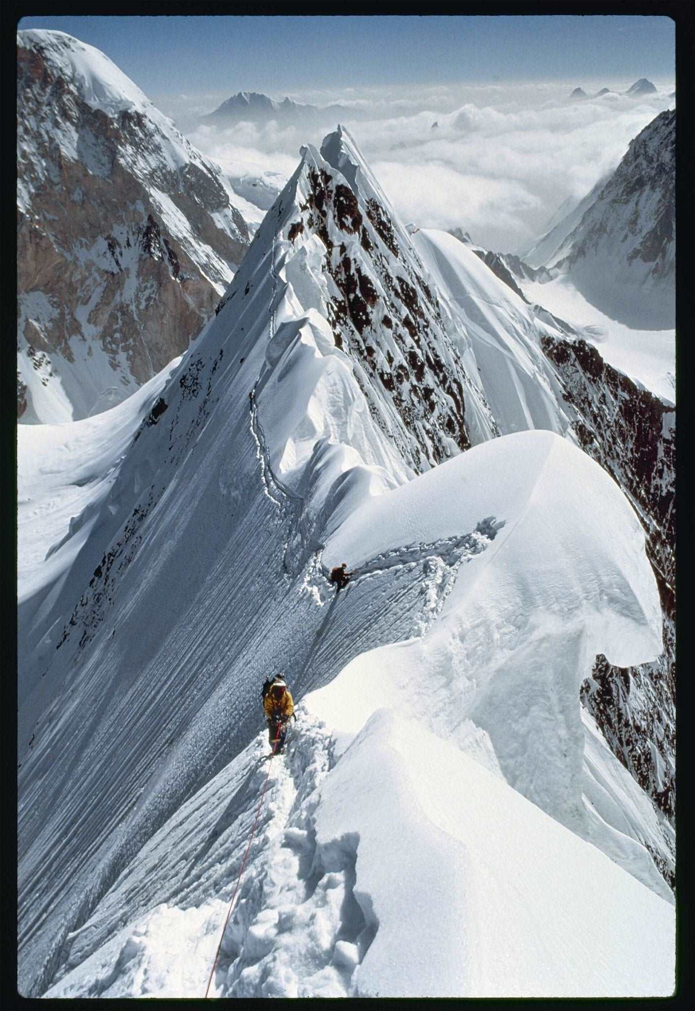 Life Lived Wild in One Size | Patagonia Bend