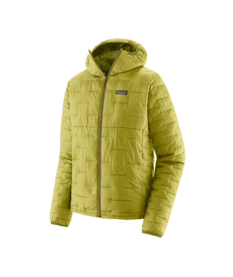 Men's Micro Puff Hoody in Bundle Green | Patagonia Bend