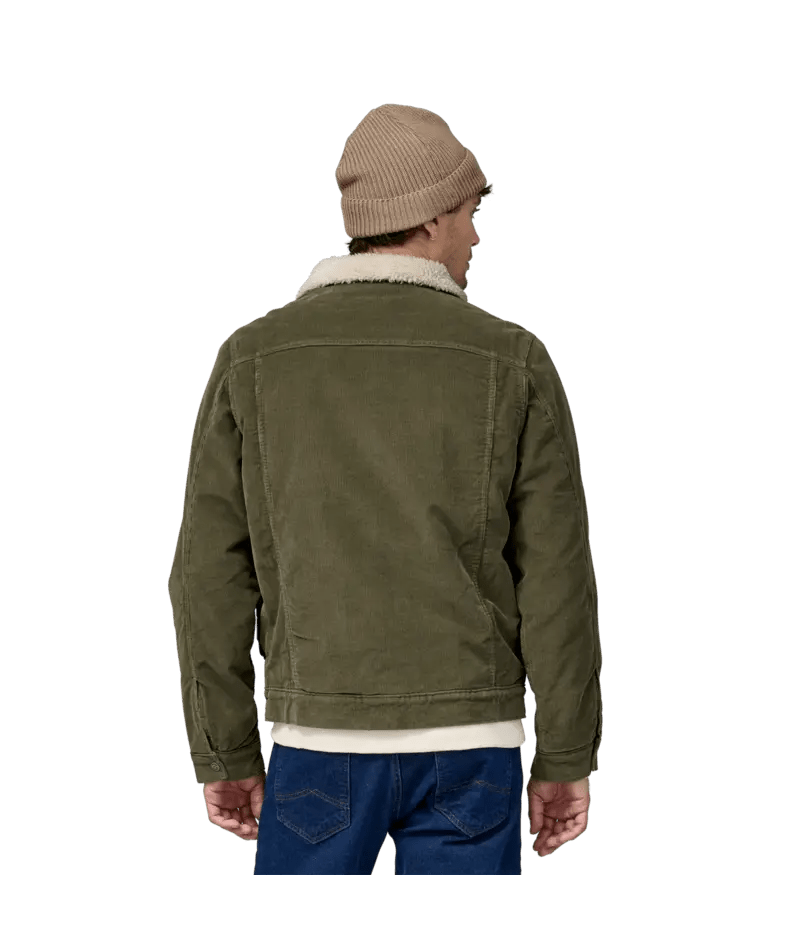 Men's Pile - Lined Trucker Jacket in Basin Green | Patagonia Bend