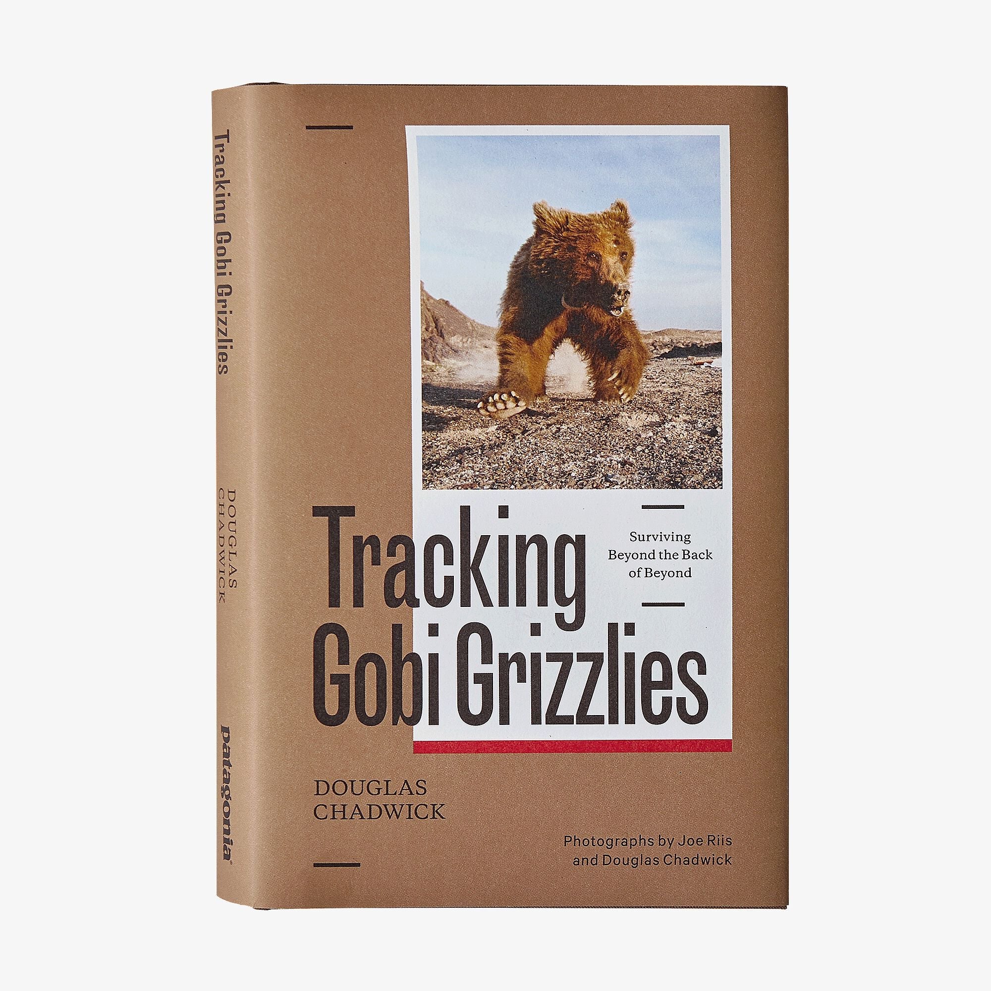 Tracking Gobi Grizzlies: Surviving Beyond the Back of Beyond by Doug Chadwick in One Size | Patagonia Bend
