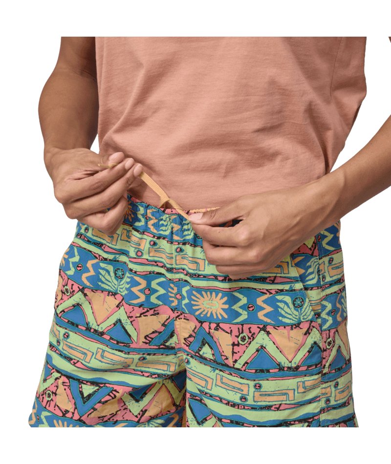 Women's Baggies Shorts - 5 in. in High Hopes Geo: Salamander Green | Patagonia Bend