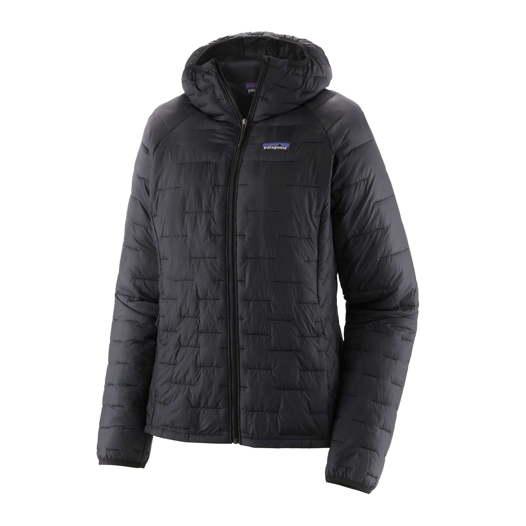 Women's Micro Puff® Hoody in Black | Patagonia Bend